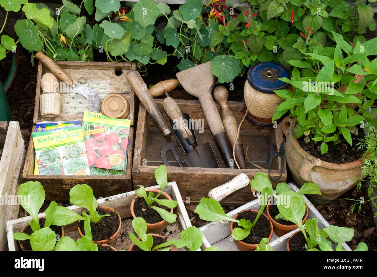 Garden with herbs Stock Photo