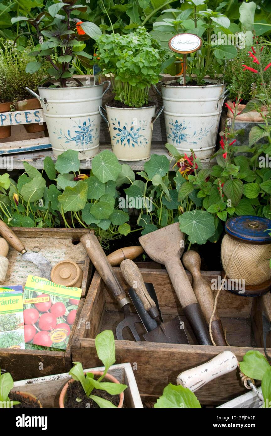 Garden with herbs Stock Photo