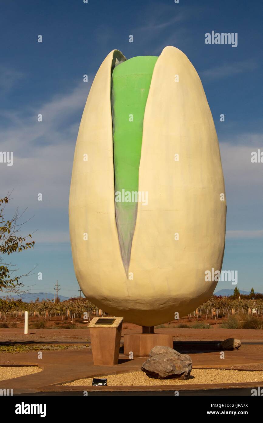 World's Largest Pistachio Cheapest Shop, Save 50% | jlcatj.gob.mx