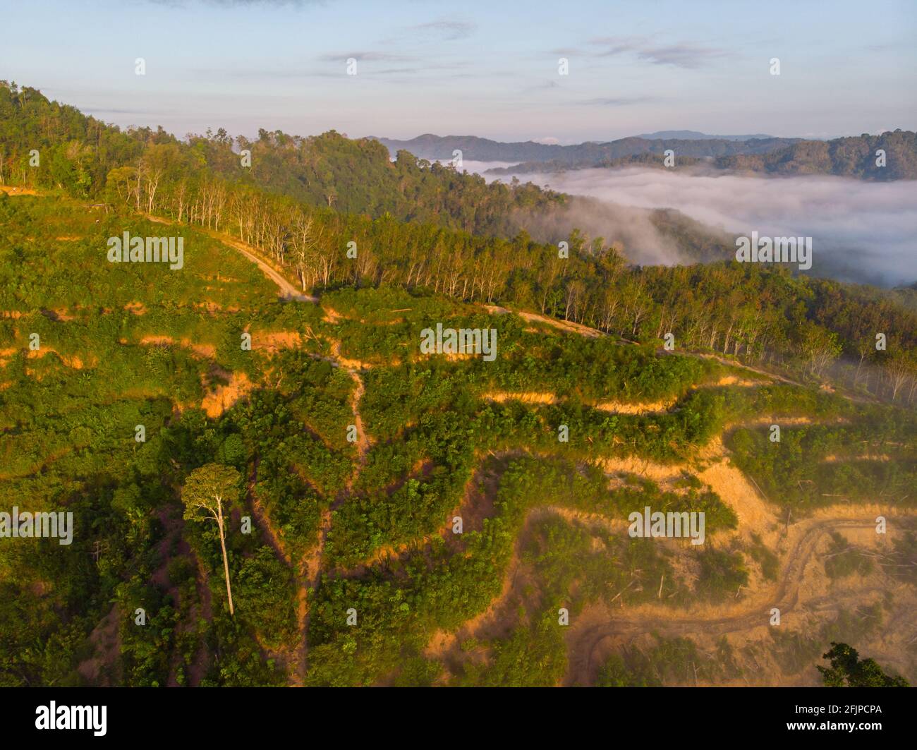 Amazon drone footage hi-res stock photography and images - Alamy