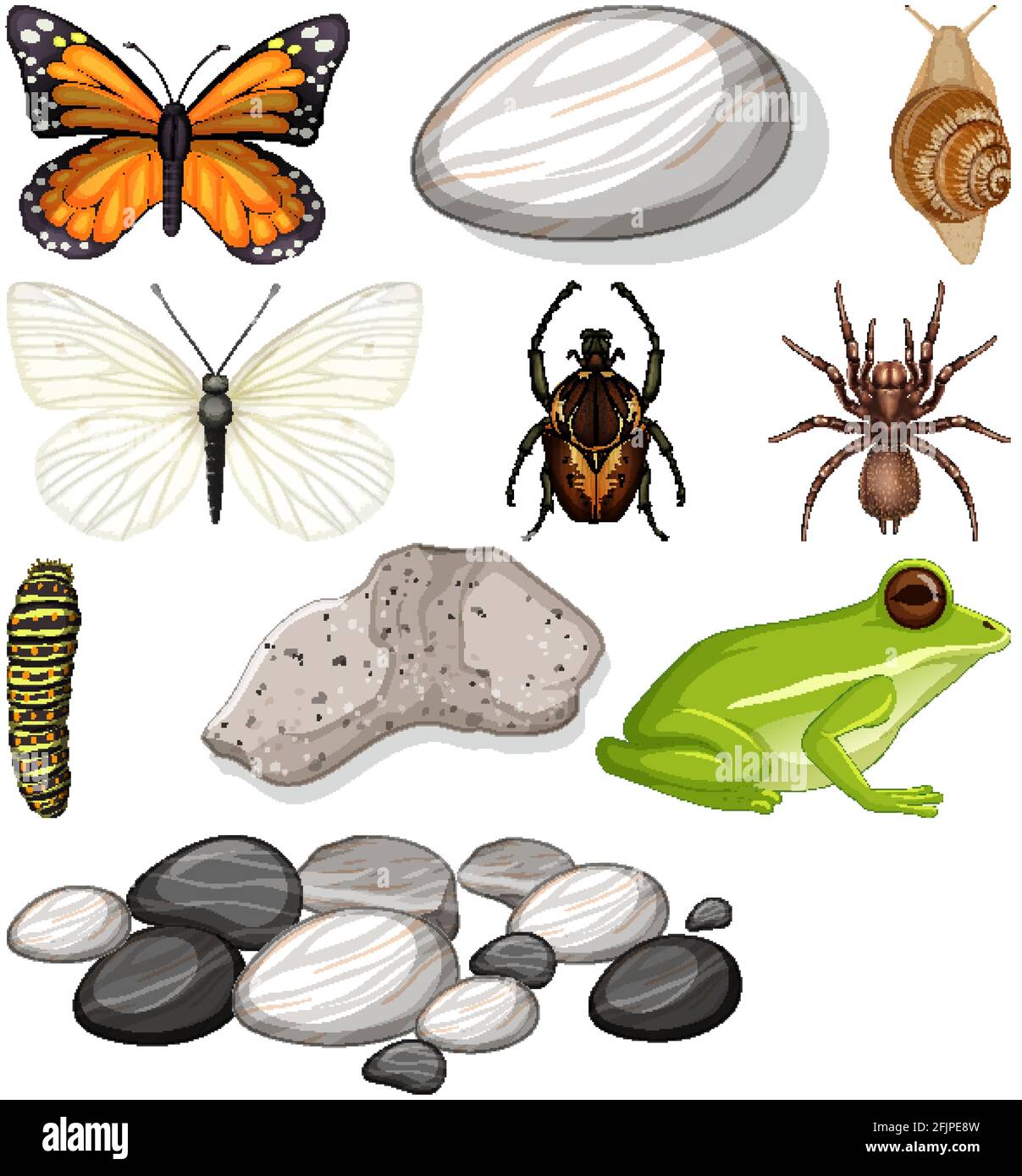 Different types of insect with nature elements illustration Stock ...