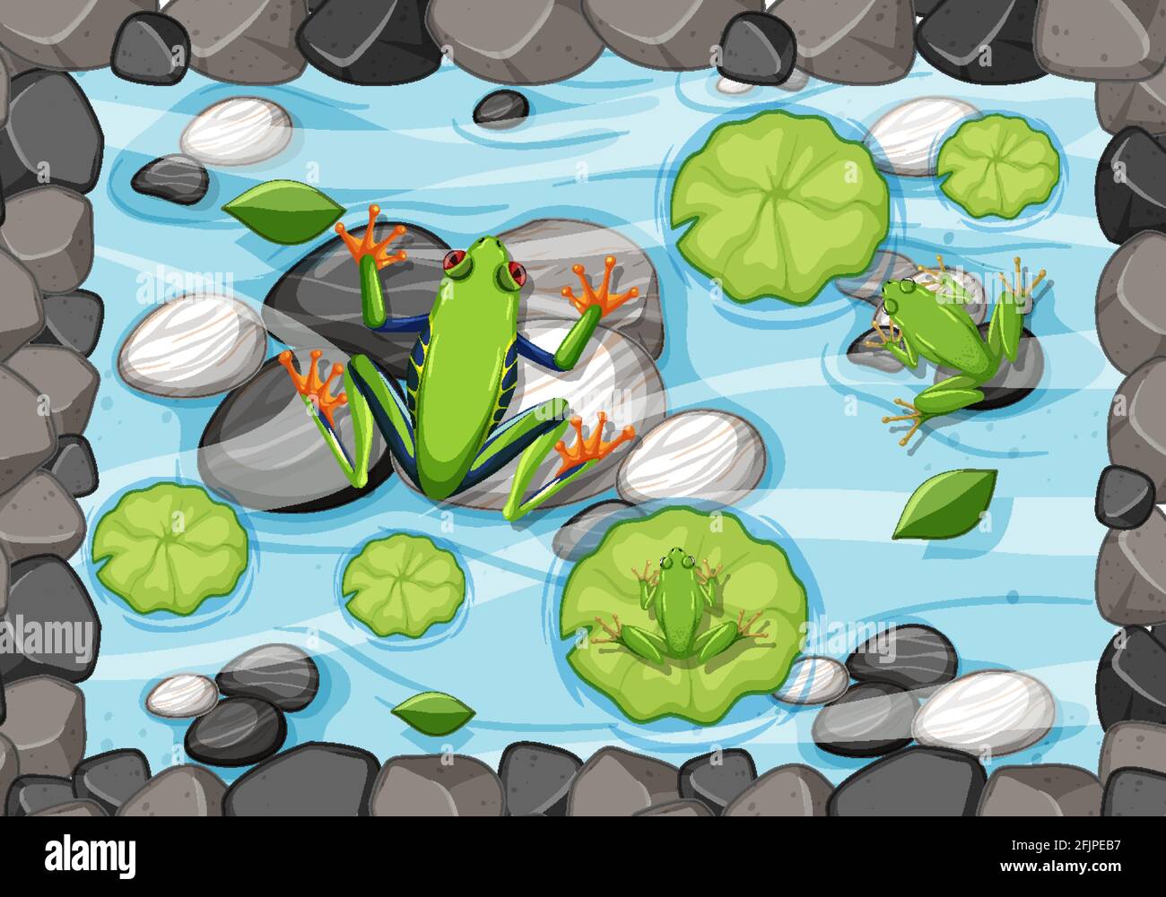 Aerial scene with frogs and lotus leaves in the pond illustration Stock ...