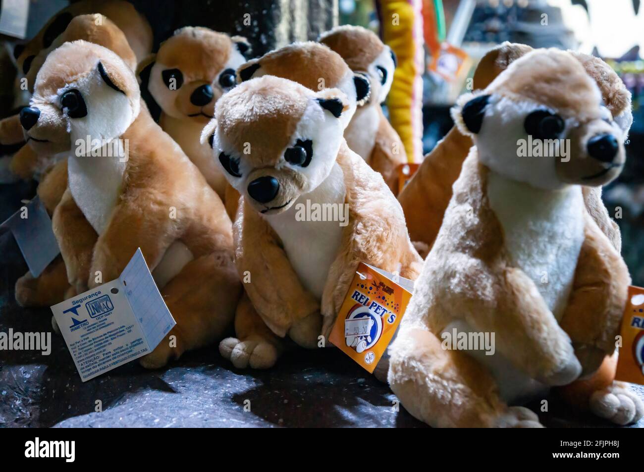 A shelf full of brown kangaroo plushies with big eyes inside the gift and souvenir shop of Sao Paulo aquarium. Stock Photo