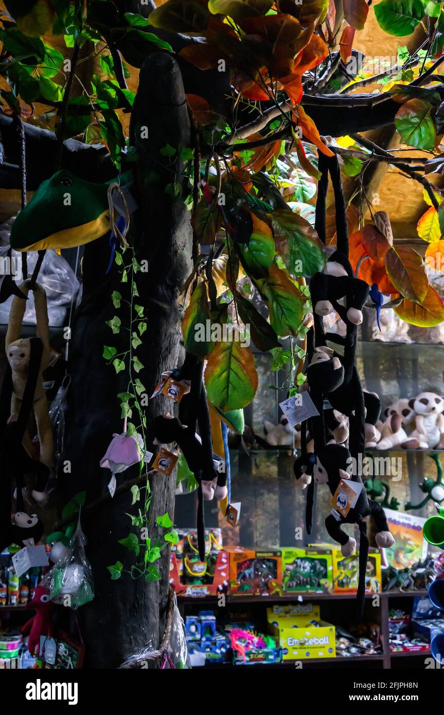 A fake tree full of hanging monkey plushies displayed for sale inside the gift and souvenir shop of Sao Paulo aquarium. Stock Photo
