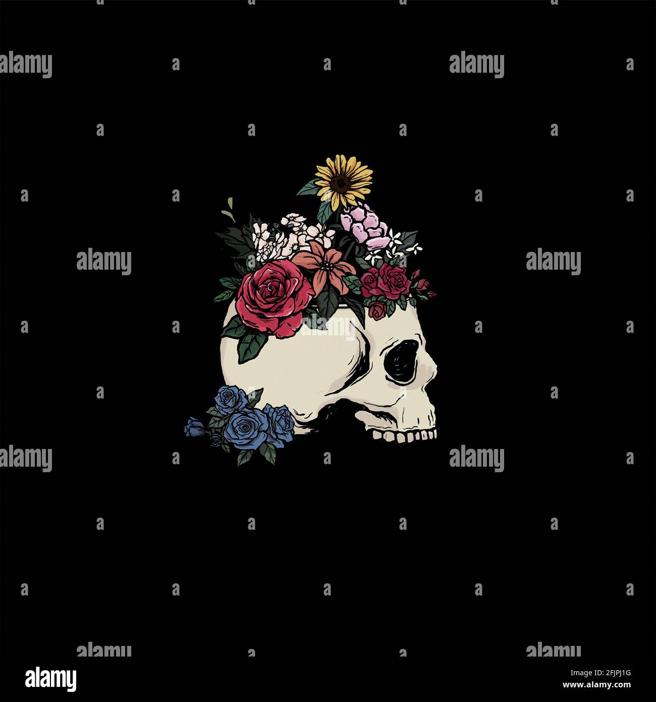 HD skull and roses wallpapers  Peakpx