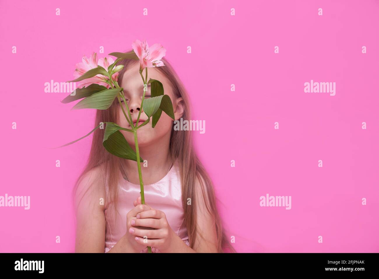 Alstroemeria in the girls hand on a pink background. Little girl close her eyes. High quality photo Stock Photo