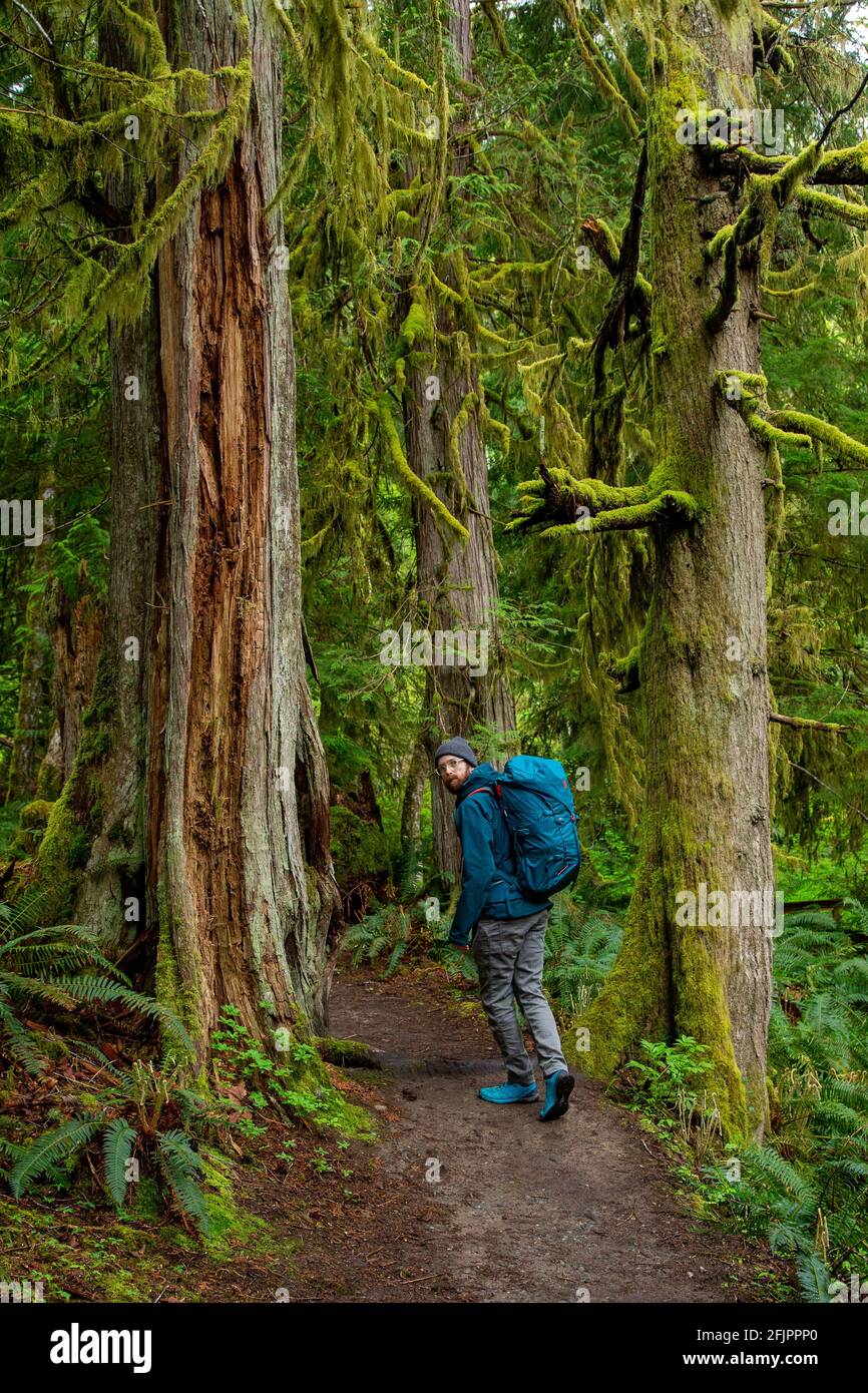 Hiking on Vancouver Island in the deep lush forest of British Columbia near Ladysmith with a lot of trails Stock Photo