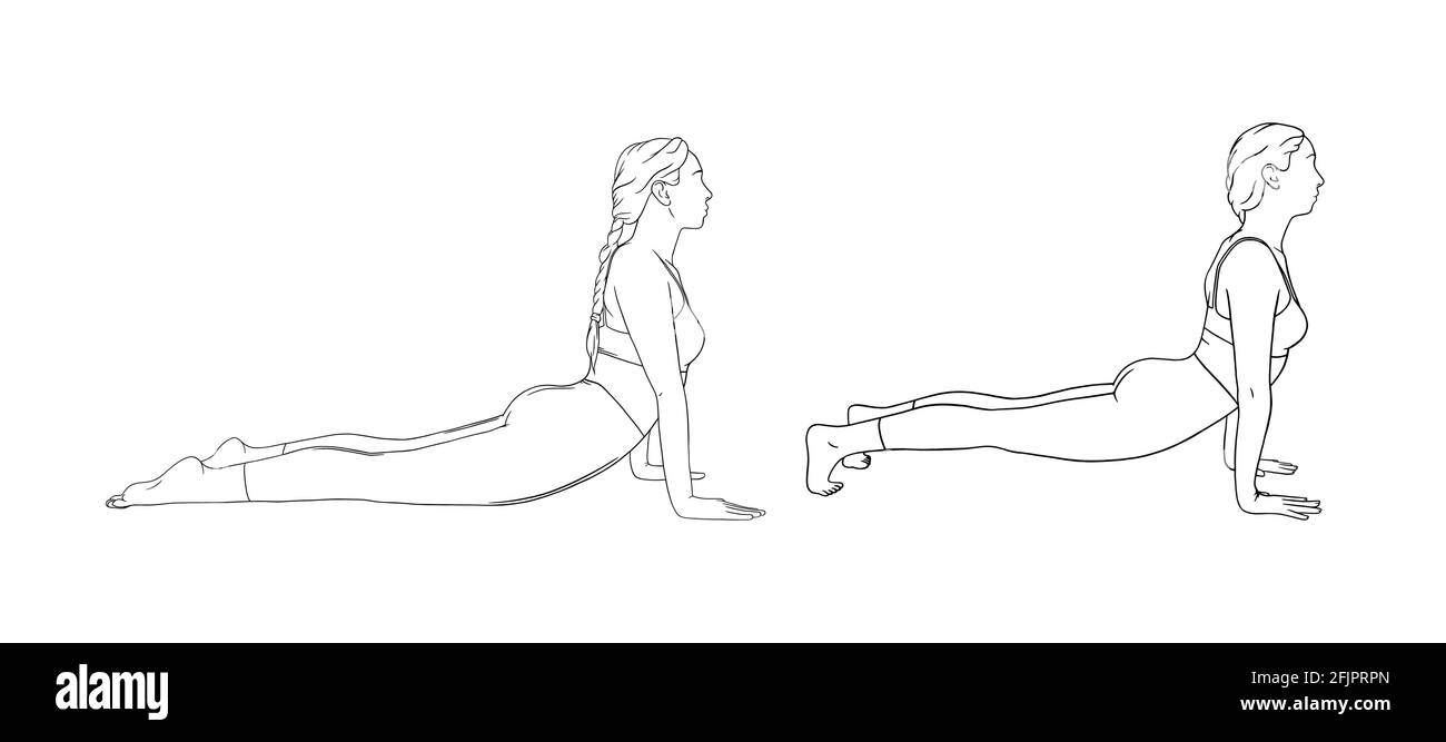 Yoga cobra and upward facing dog poses. Hatha yoga asanas. Sketch vector illustration Stock Vector