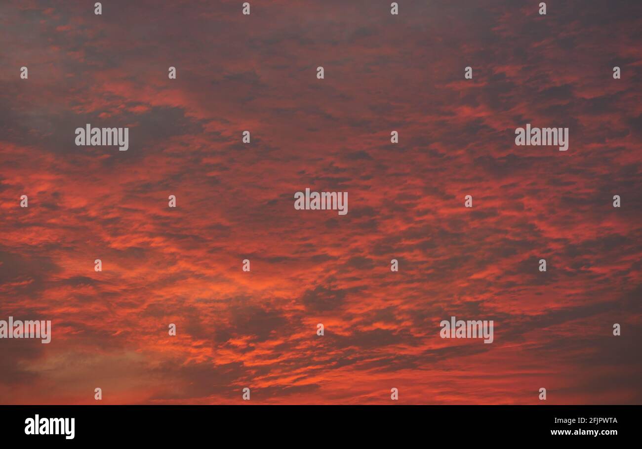 Dark cloud and blue sky in magic hour at sunset, The horizon began to turn orange with purple and pink cloud at night, Dramatic cloudscape area Stock Photo