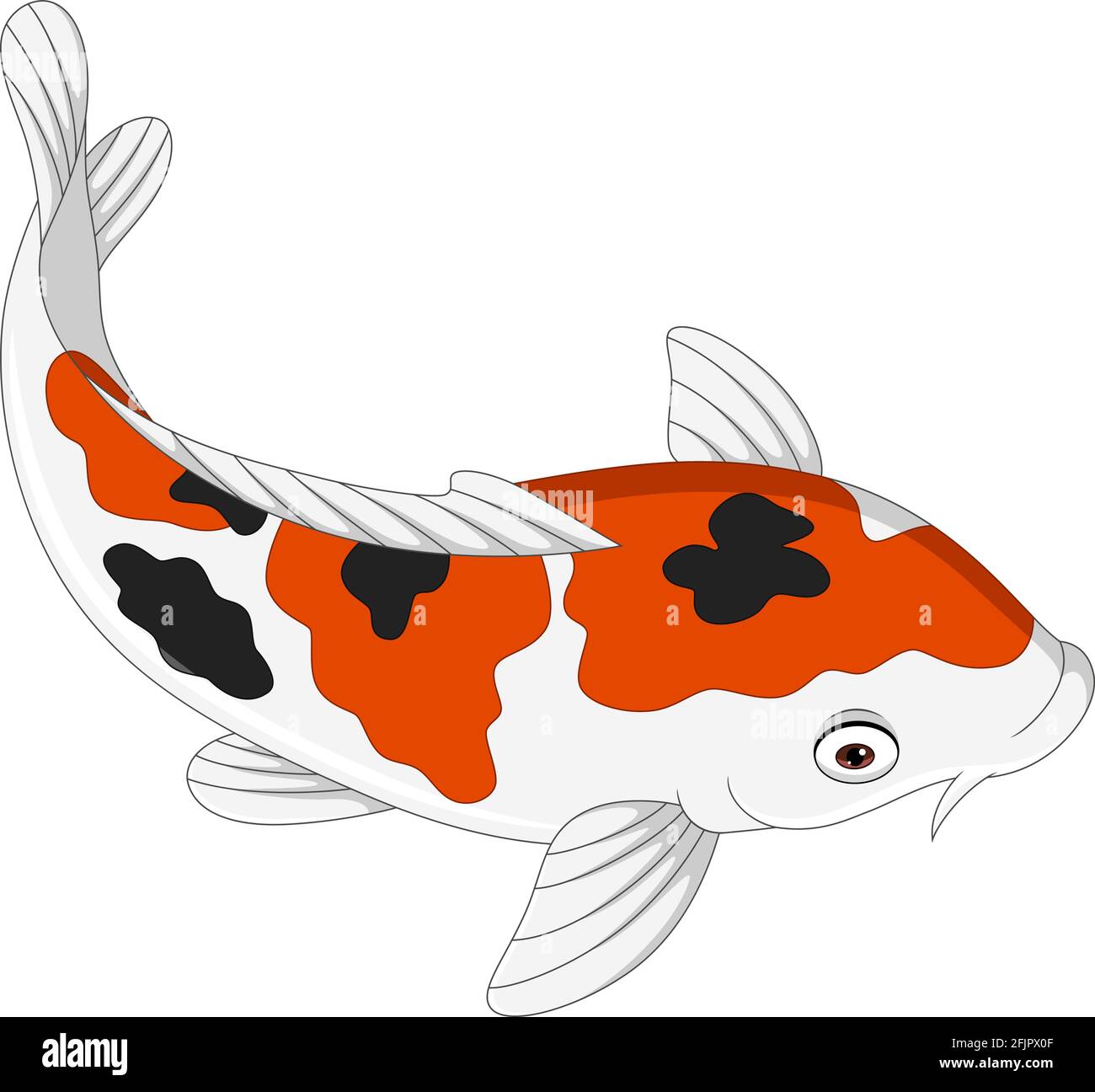 Cartoon cute koi fish on white background Stock Vector