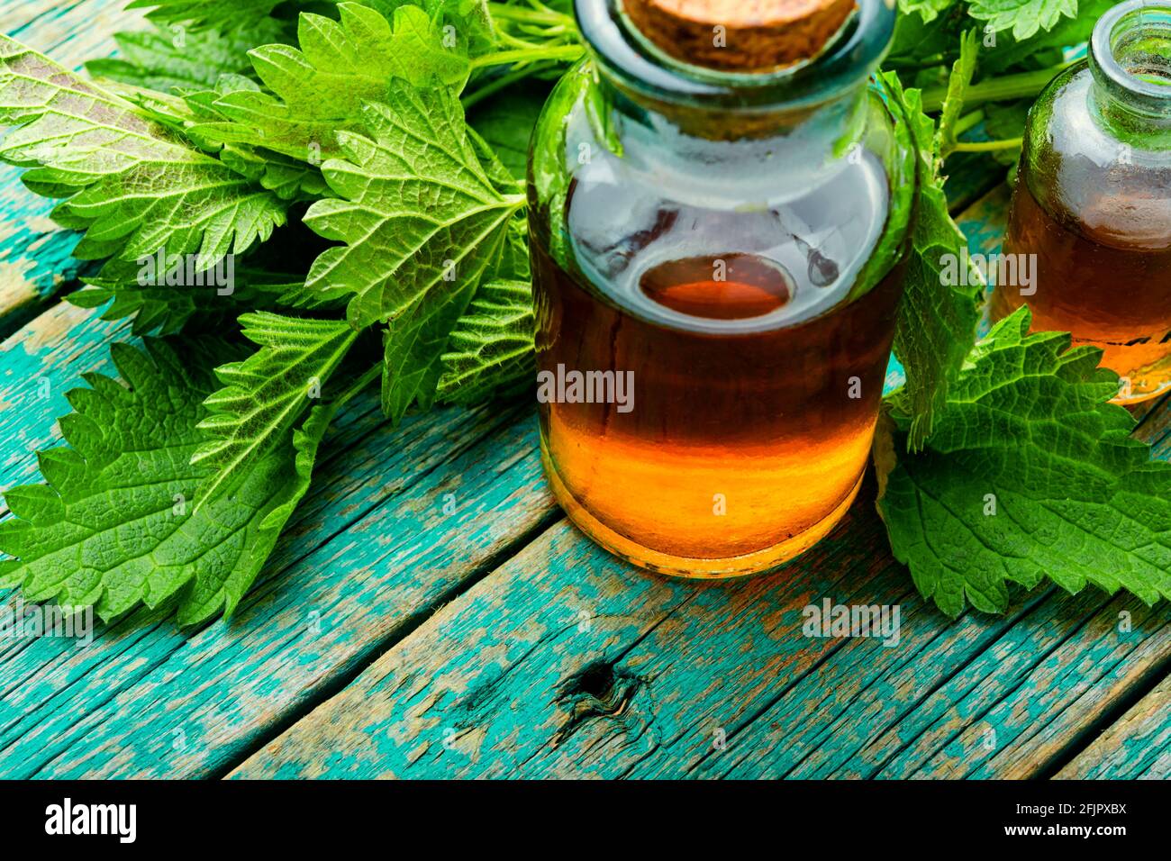 Nettle essence in glass bottle.Healing herbs.Stinging nettles in herbal