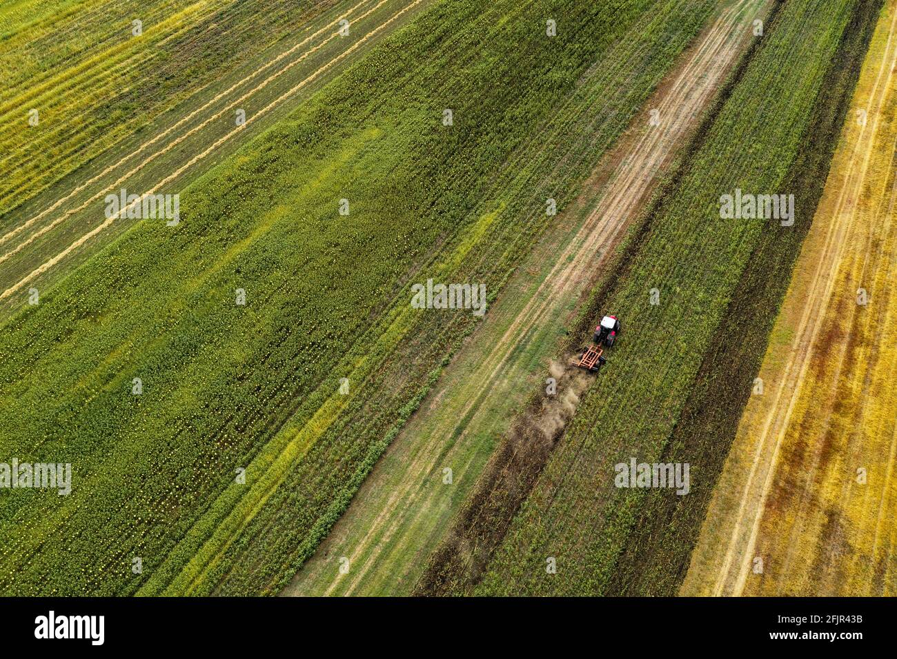 Aerial view of tractor plowing field after sunflower harvest from drone ...