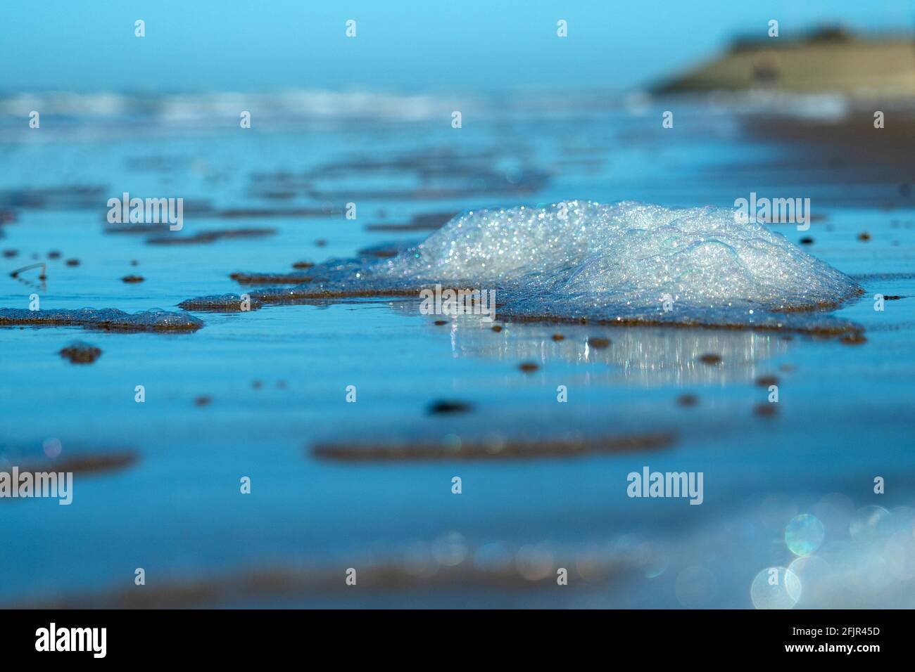 foam on the beach Stock Photo Alamy
