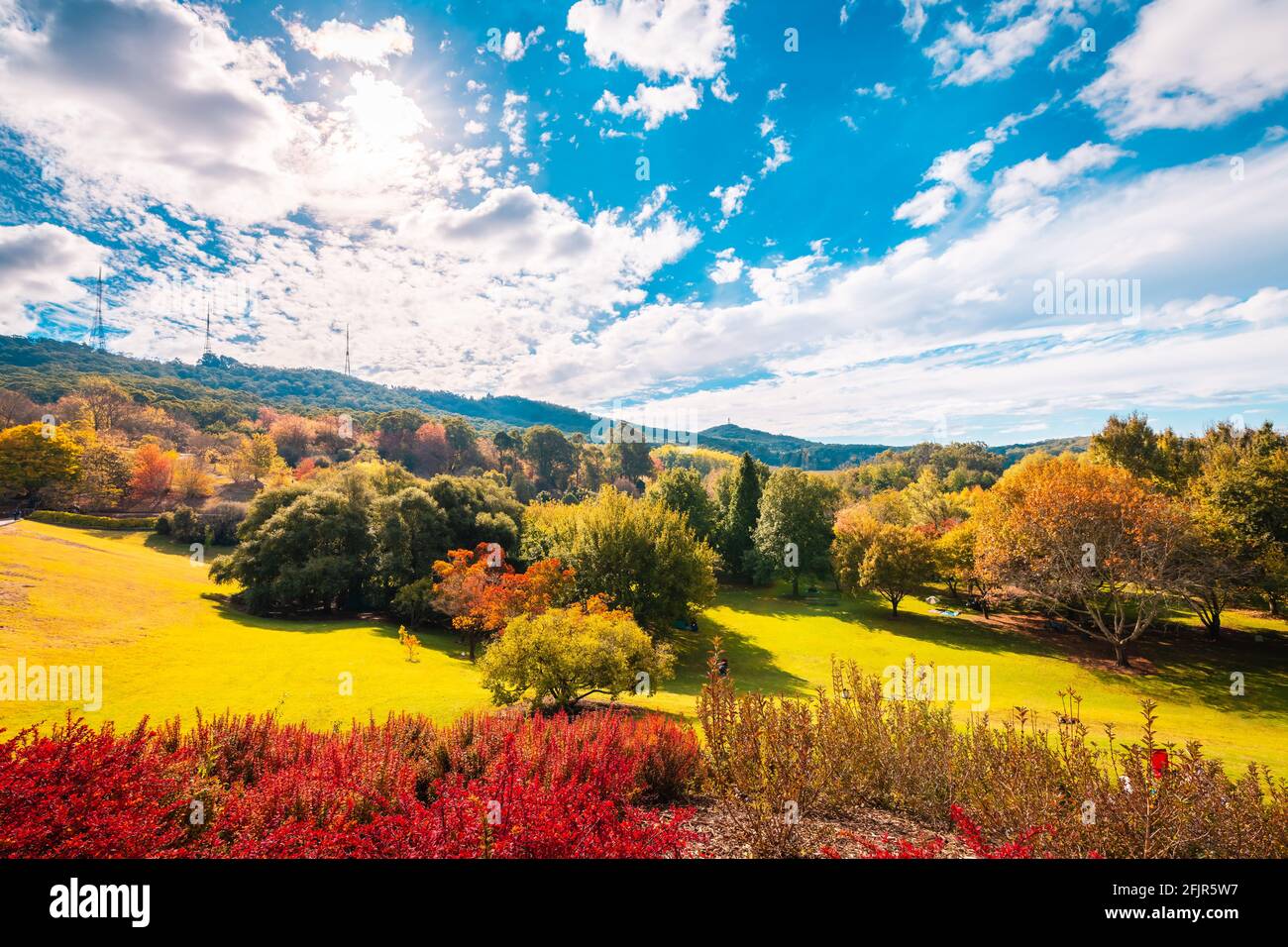 Mount Lofty Botanic Garden in autumn colours on a bright sunny day, Crafers, Adelaide Hills, South Australia Stock Photo