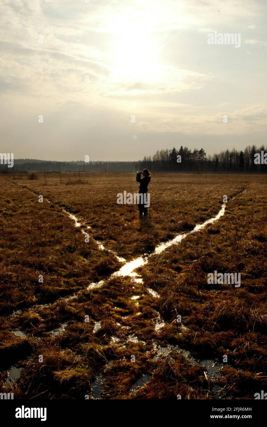 Gosia Znaniecka works for OTOP (polands society for the protection of birds on the wet lands of the Rospuda valley.  Plans to build a highway through Polands,  Rospuda Valley, a virtually untouched area of peatland on the border of Lithuania, have sparked a major controversy both in Poland and in Brussels with environmentalists warning it could have a catastrophic effect on local wildlife. The Via Baltica road aims to link the Baltic states to Scandinavia and will make trade easier between the two regions   pic David Sandison Stock Photo