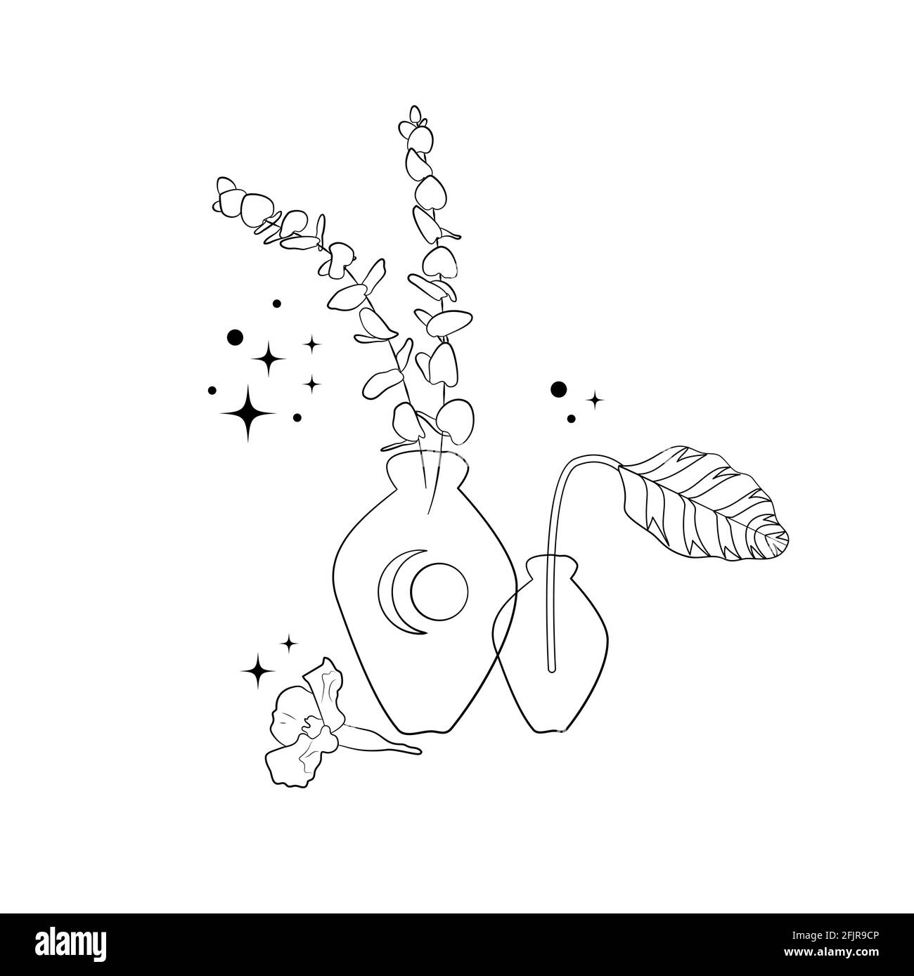 Black line art composition with eucalyptus in vase and stars isolated