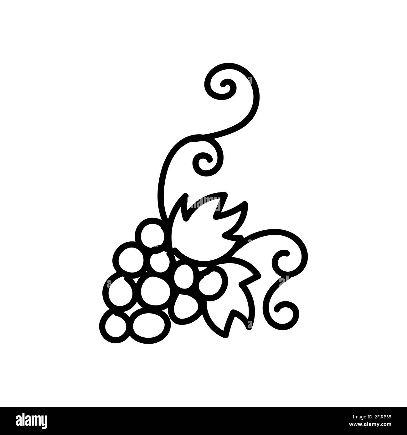 grapevine. Hand drawn doodle vector illustration isolated on whithe background. Simple drawings with black color. Stock Vector