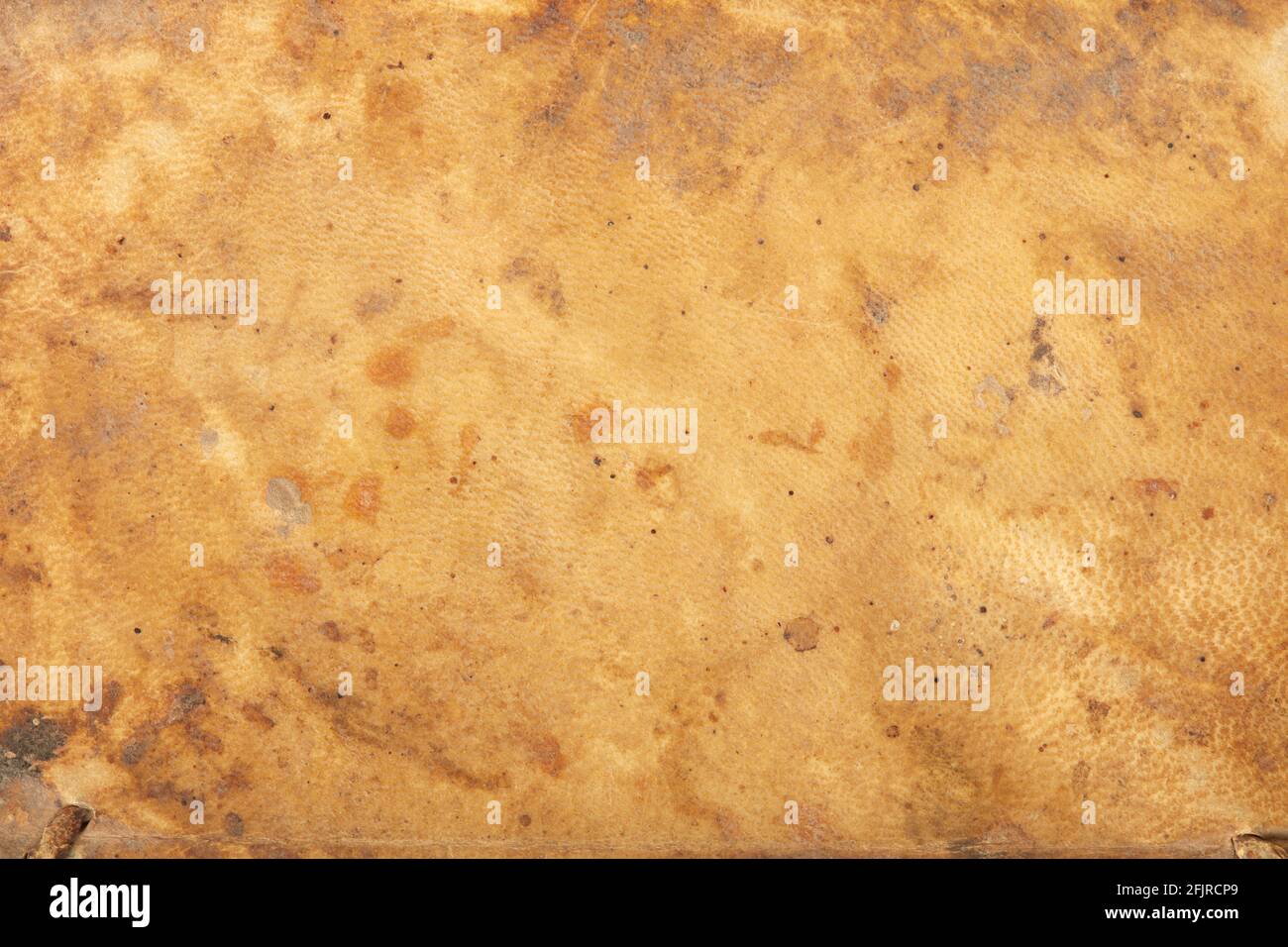 Old, stained leather parchment texture background Stock Photo