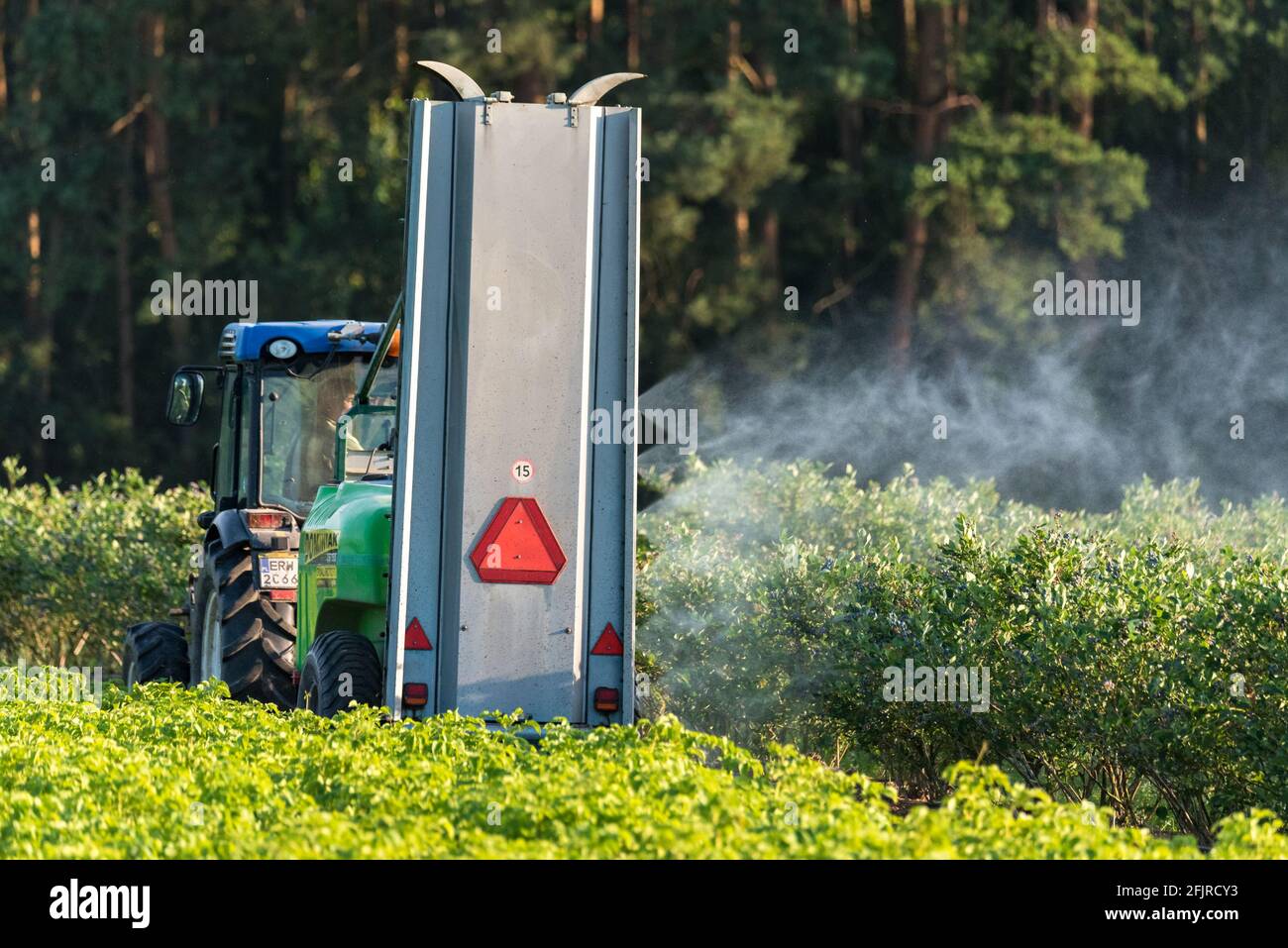 Rawa Mazowiecka, Poland - July 18, 2020: Spraying cherries. Protection of the orchard and trees against pests and diseases. Work on a fruit farm. Stock Photo