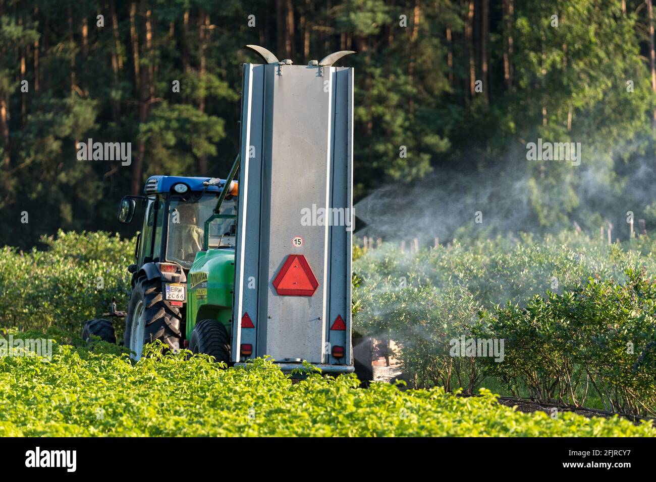 Rawa Mazowiecka, Poland - July 18, 2020: Spraying cherries. Protection of the orchard and trees against pests and diseases. Work on a fruit farm. Stock Photo