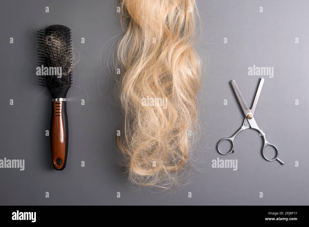Hairdresser professional thinning scissors or shears and hairbrush with matted curl of blonde hair on grey background. Beauty salon. Hair extensions a Stock Photo