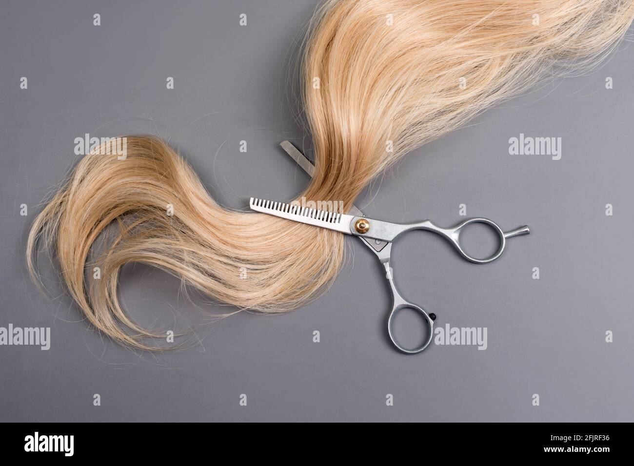 Hairdresser professional thinning scissors or shears with strand of blonde  hair on grey background. Beauty salon. Hair extensions and hairdressing too  Stock Photo - Alamy