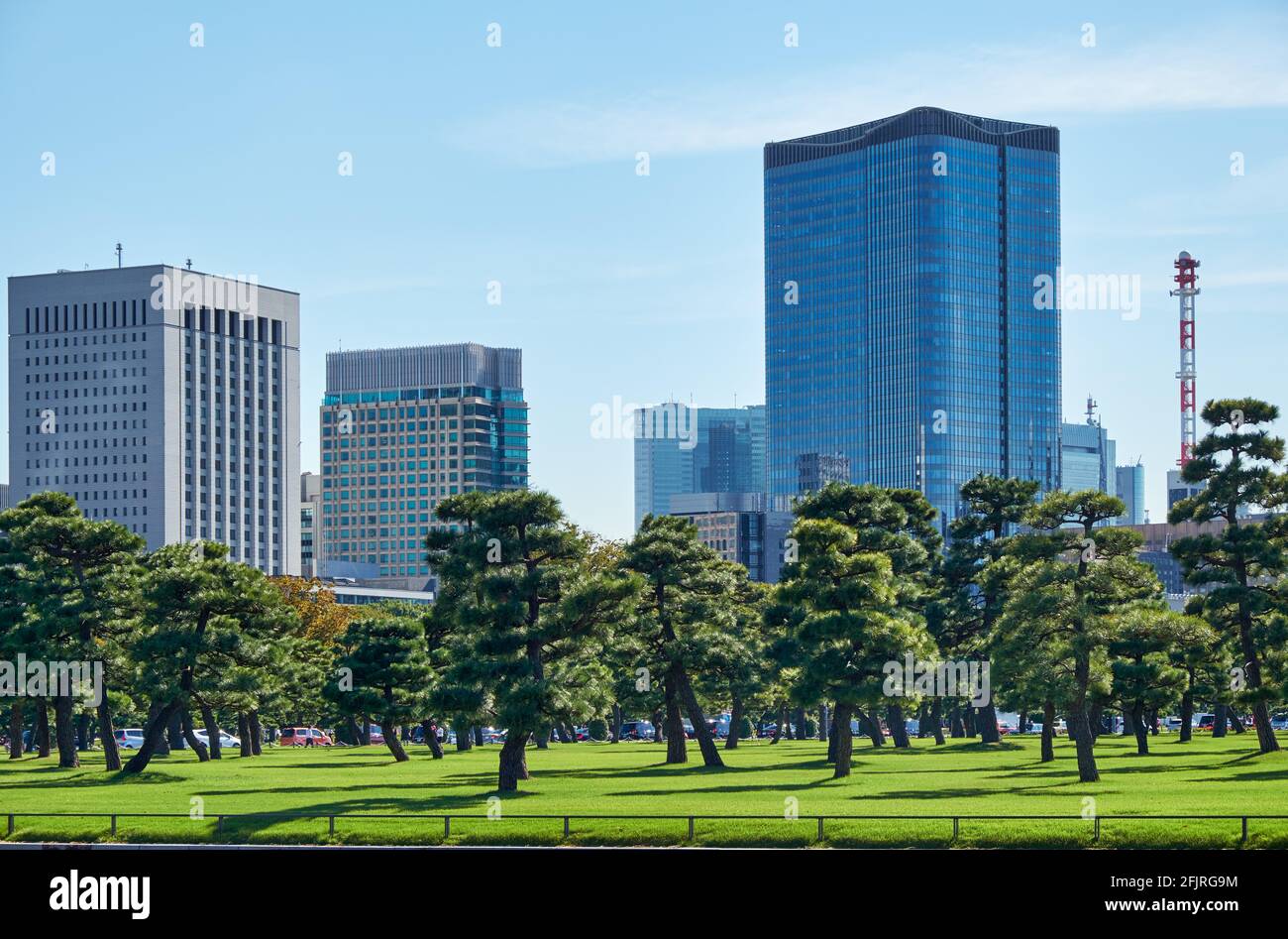 Skyscrapers of Marunouchi commercial and  financial  district, viewed through the green lawn of Kokyo Gaien National Garden. Tokyo. Japan Stock Photo