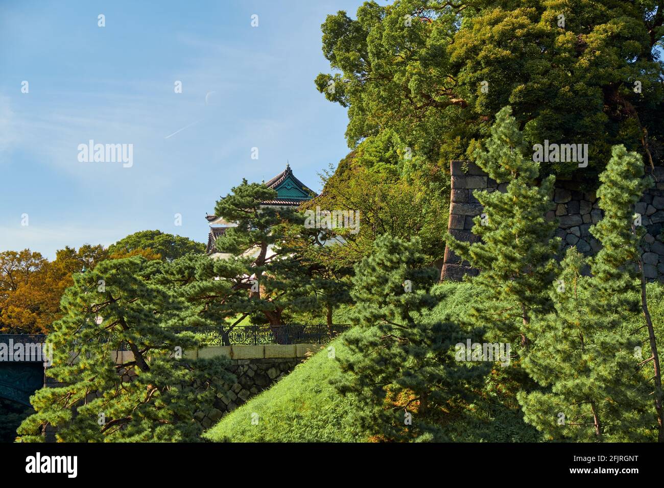 The view of thick greenery around the Edo castle wall with the