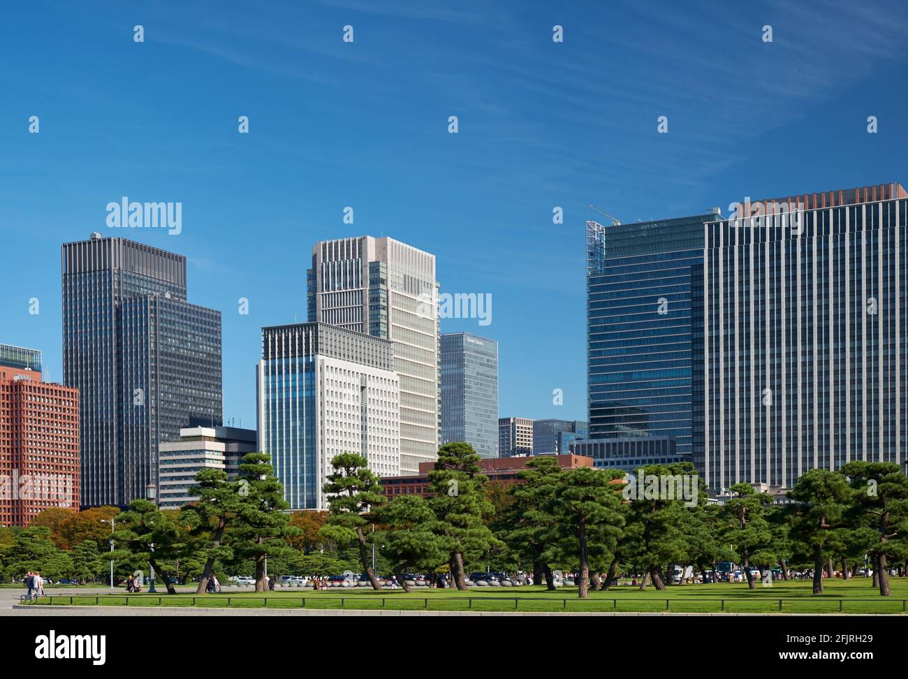 Skyscrapers of Marunouchi commercial and financial district, viewed through the green lawn of Tokyo Kokyo Gaien National Garden. Tokyo. Japan Stock Photo
