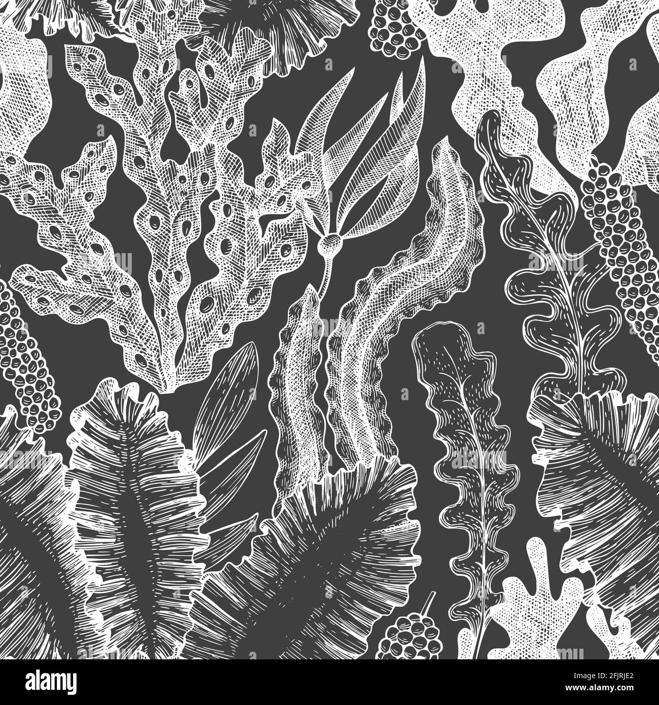Seaweed seamless pattern. Hand drawn vector seaweeds illustration on chalk board. Engraved style sea food banner. Vintage sea plants background Stock Vector