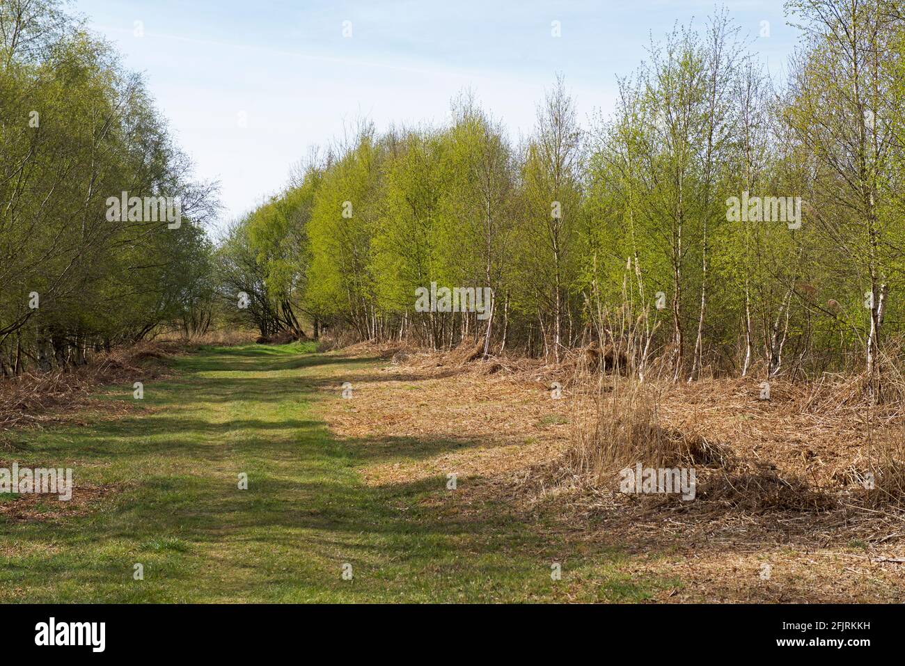 Crowle moors hires stock photography and images Alamy