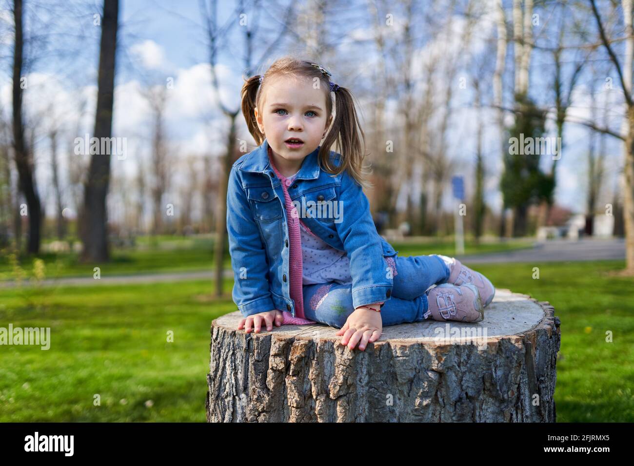 Adorable little girl sitting on a big stump in the park Stock Photo - Alamy