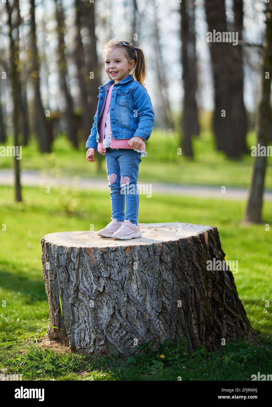 Adorable little girl sitting on a big stump in the park Stock Photo - Alamy