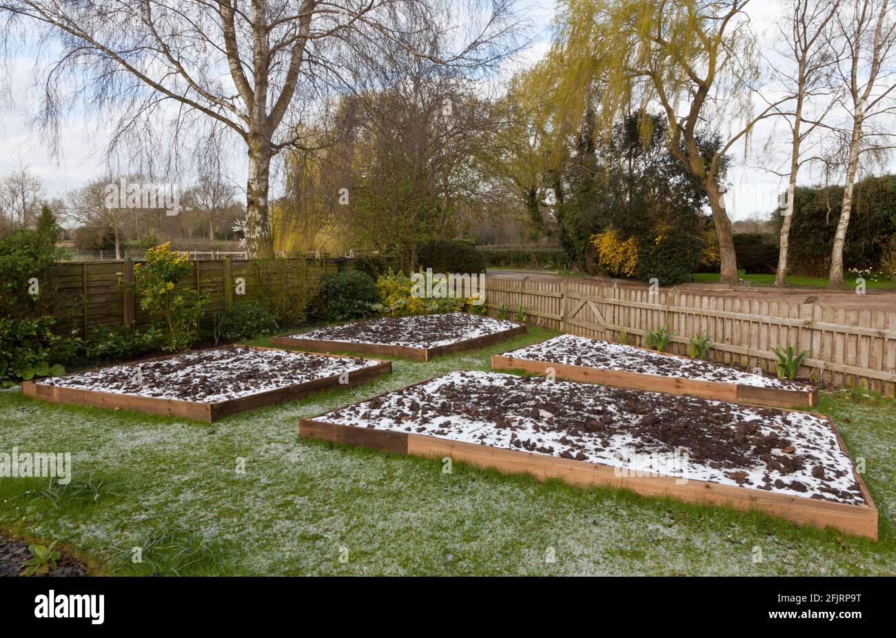 New garden raised beds covered with a sprinkling of snow Stock Photo