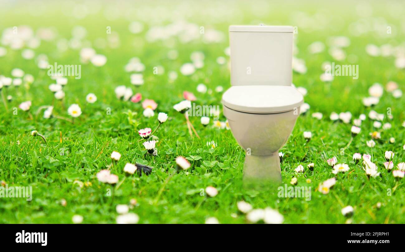 Abstract collage with fresh flush toilet bowl placed in the blooming green meadow, concept of fresh purity and ecology. Stock Photo