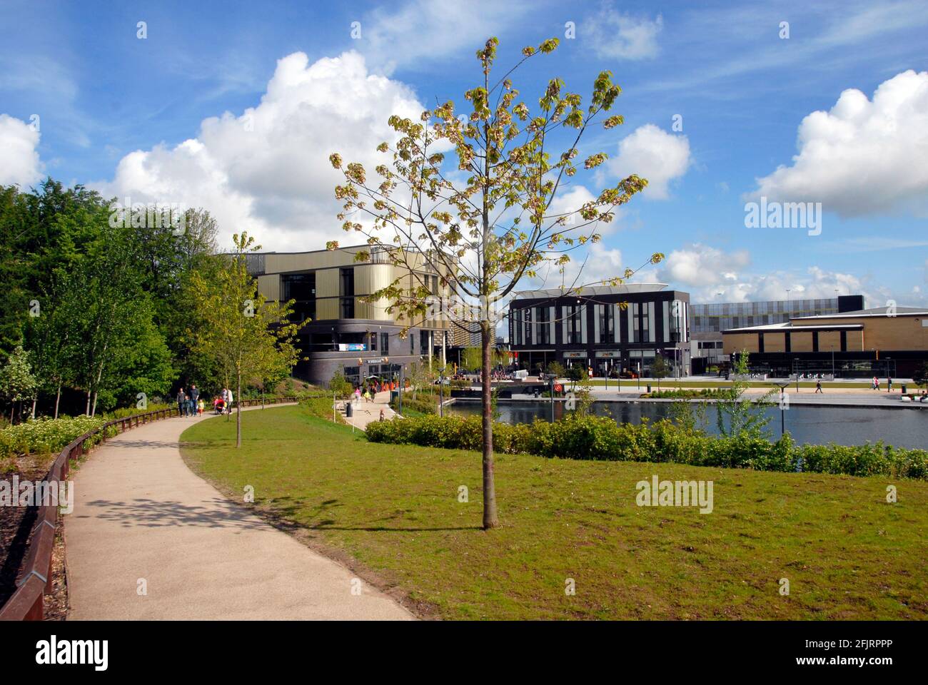 Modern buildings on the edge of Telford Town Park, Shropshire, England