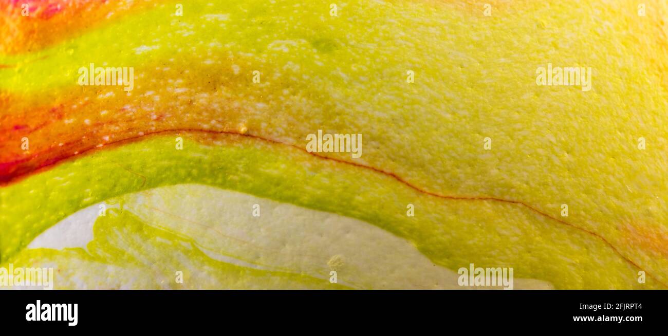 Closeup of vibrant paint background of yellow and lime color Stock Photo