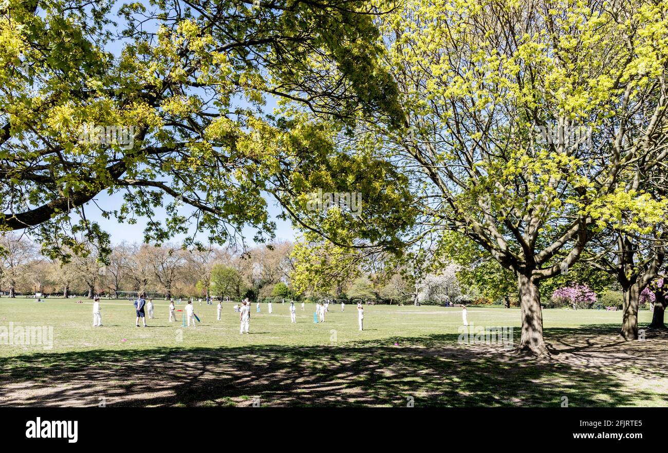 People Playing Cricket In Battersea Park London UK Stock Photo