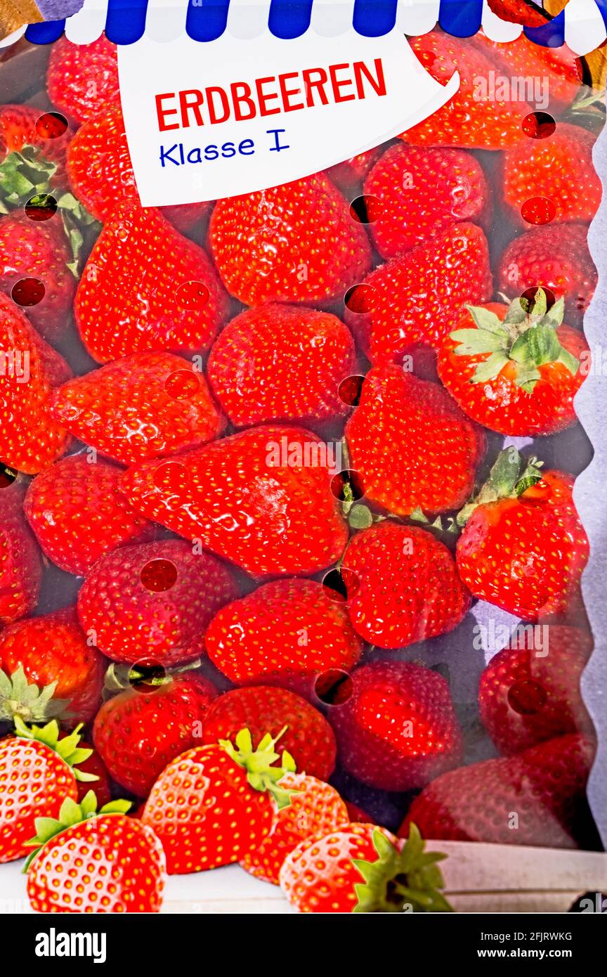Strawberries, Erdbeeren Stock Photo