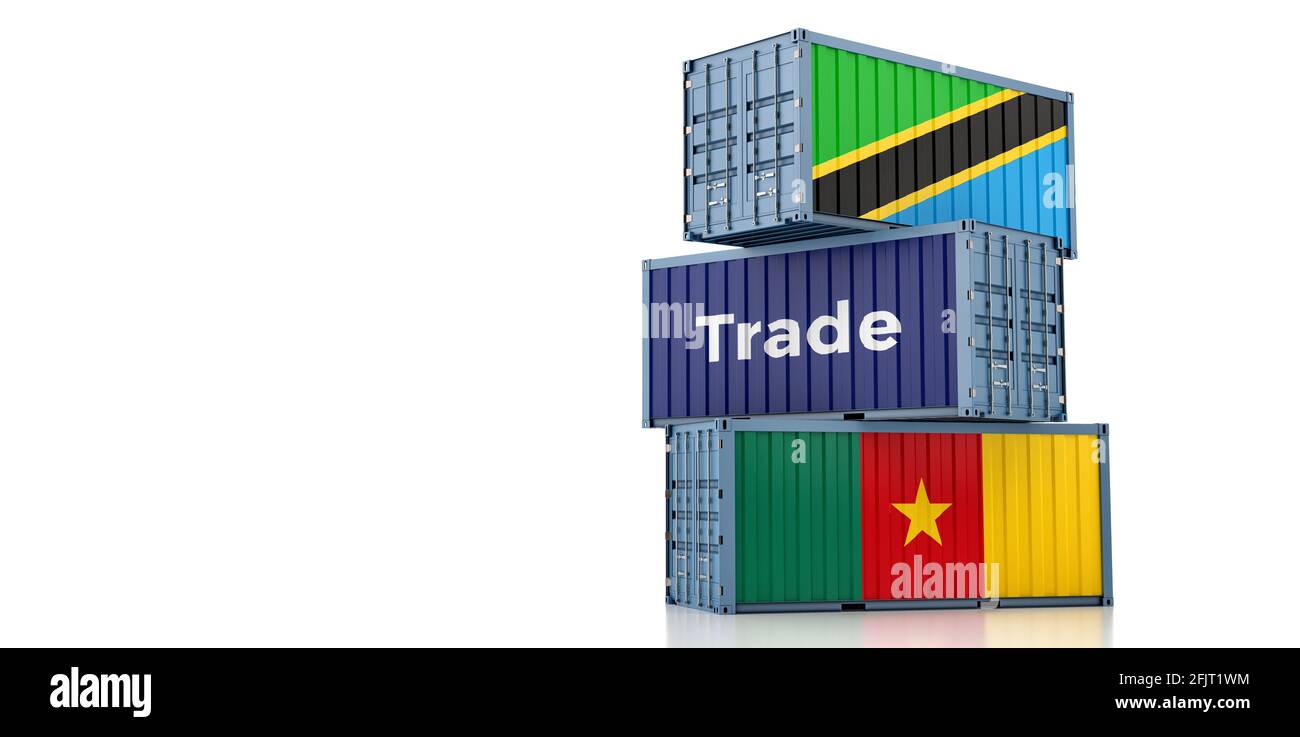 Freight containers with Tanzania and Cameroon national flags. 3D