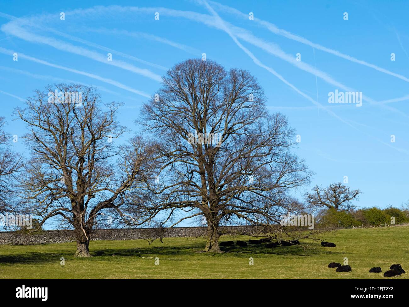 Contributing and mitigating agents to the rise of global temperature, Castle Howard Estate, North Yorkshire, UK Stock Photo