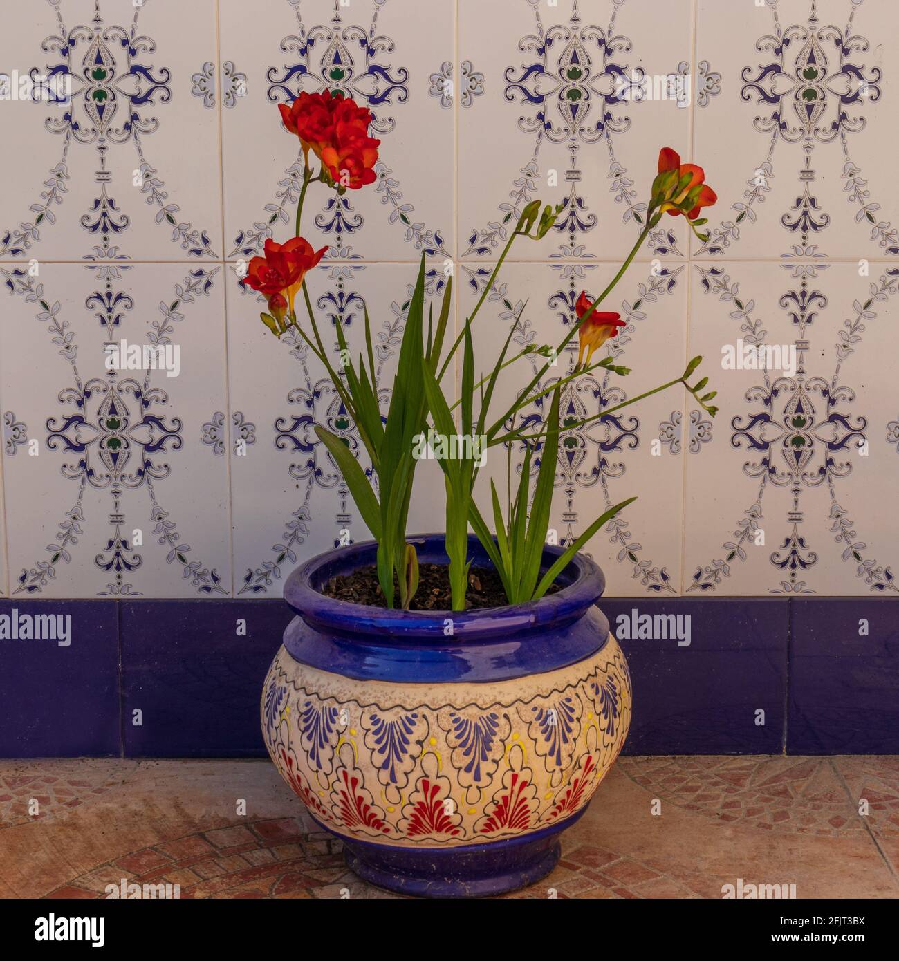 Hand Painted Ceramic Plant Pots Stock Photo Alamy