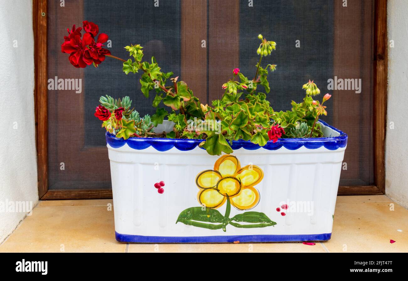 Ceramic Hand Painted Flower Pot on a Window Sill Stock Photo Alamy