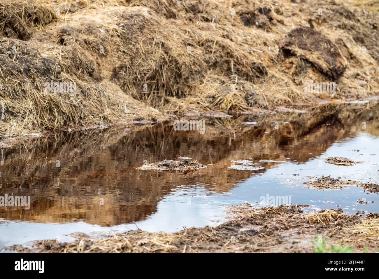 Muddy ditch with dried grass Stock Photo Alamy