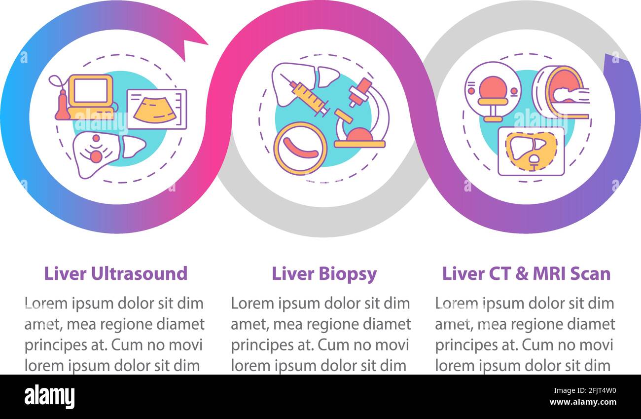 Liver testing vector infographic template Stock Vector