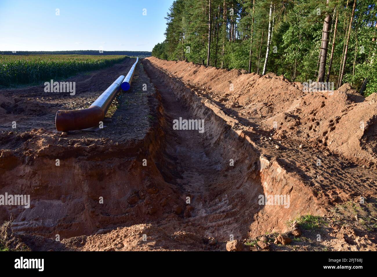 Natural gas pipeline construction work in forest area. Installation of ...