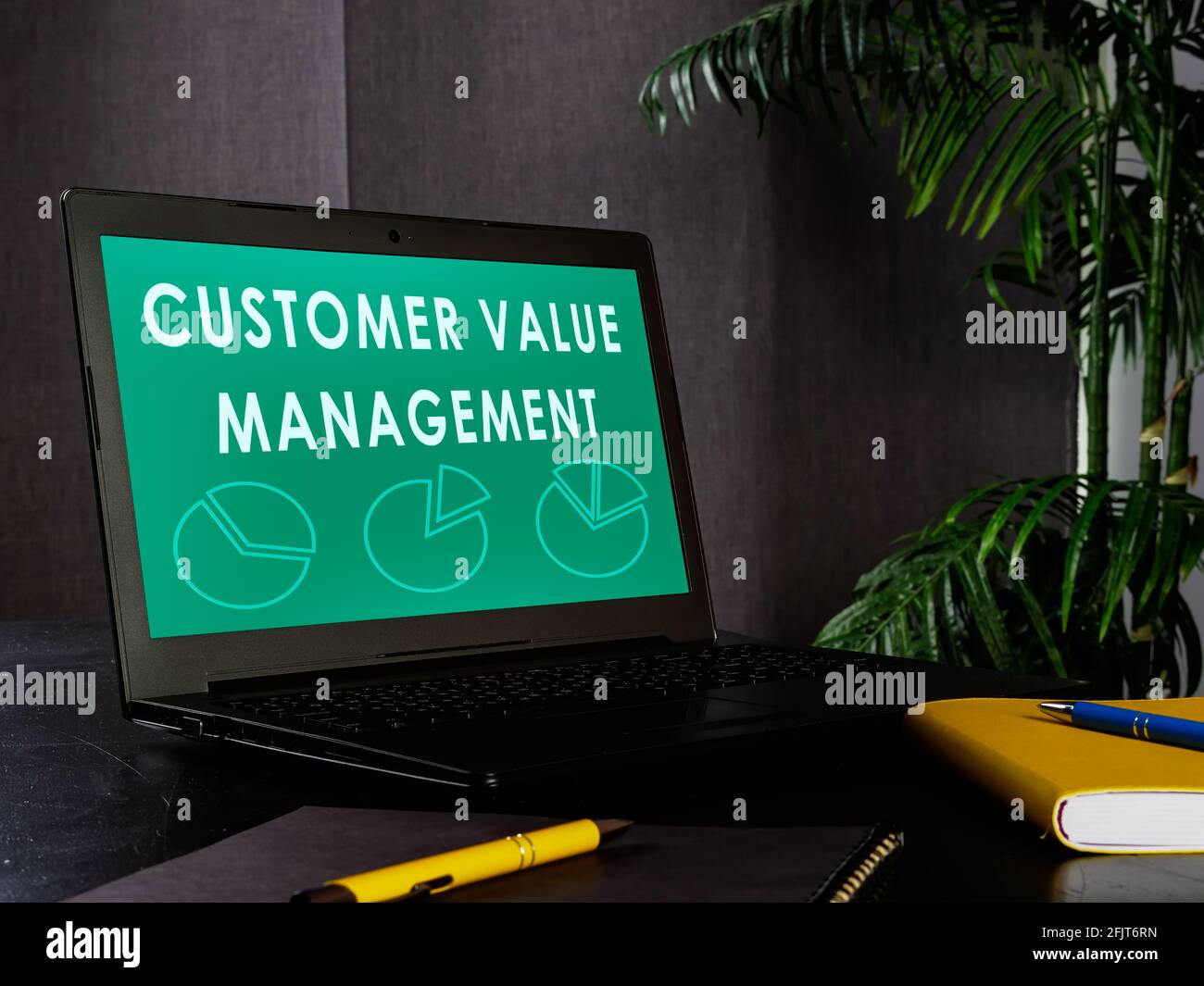 Customer value management CVM info in laptop. Stock Photo