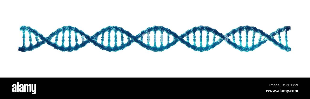 Double helix DNA molecule isolated on white background. Molecular ...
