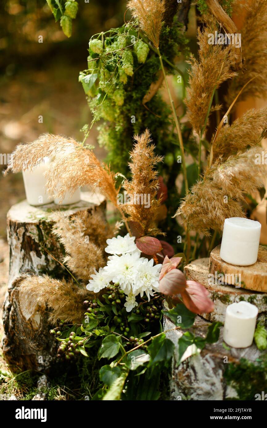 White paraffin candles on wooden decorated stumps. Stock Photo
