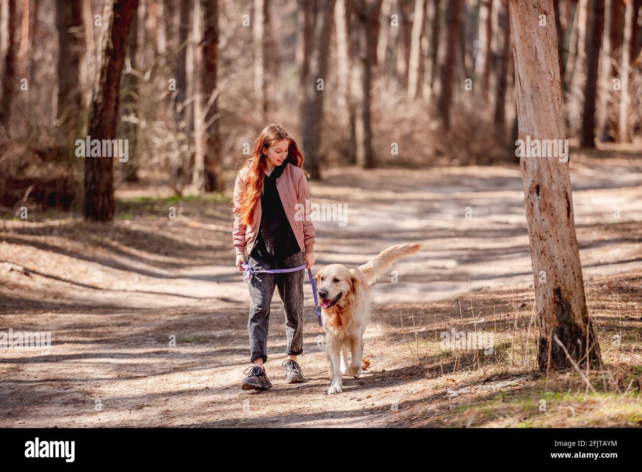 Girl with golden retriever dog in the wood Stock Photo - Alamy